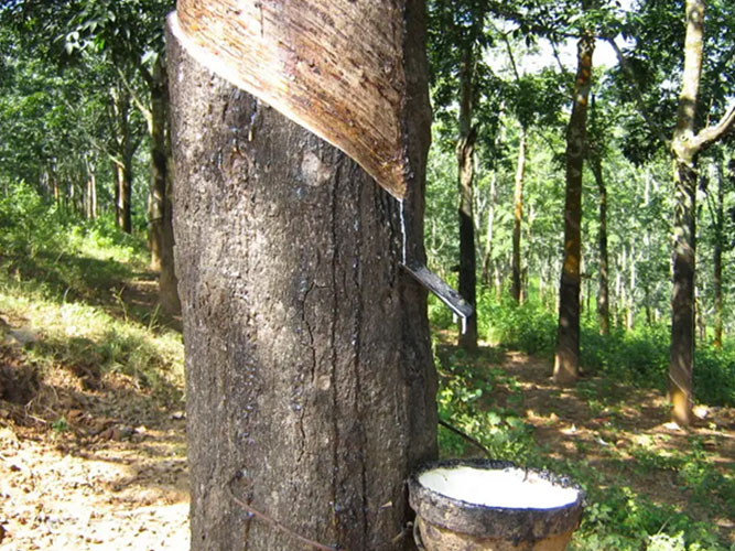橡膠的種類及特點有哪些？